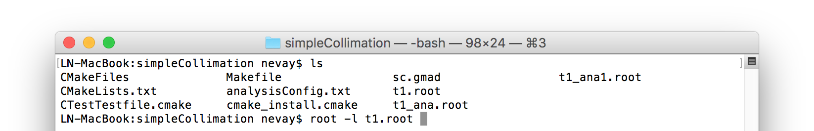 _images/starting_root.png